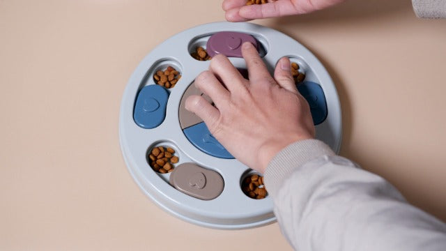 Interactive Dog Treat Puzzle Toy for Mental Stimulation and Slow Feeding