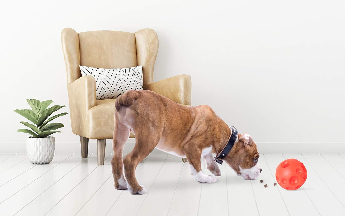 Omega Paw Authentic Tricky Treat Ball Large