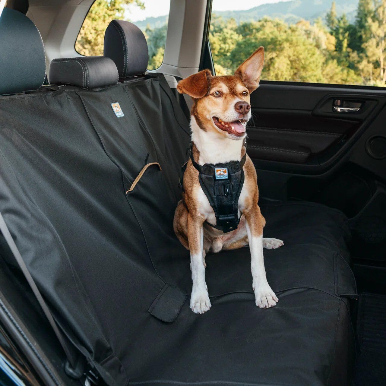 Kurgo Rover Hammock Seat Cover, Black, 55" Wide | Protects Seats from Muddy Paws & Pet Hair, Water & Stain Resistant, Secure Fit, Passenger-Friendly Opening, For Cars & SUVs