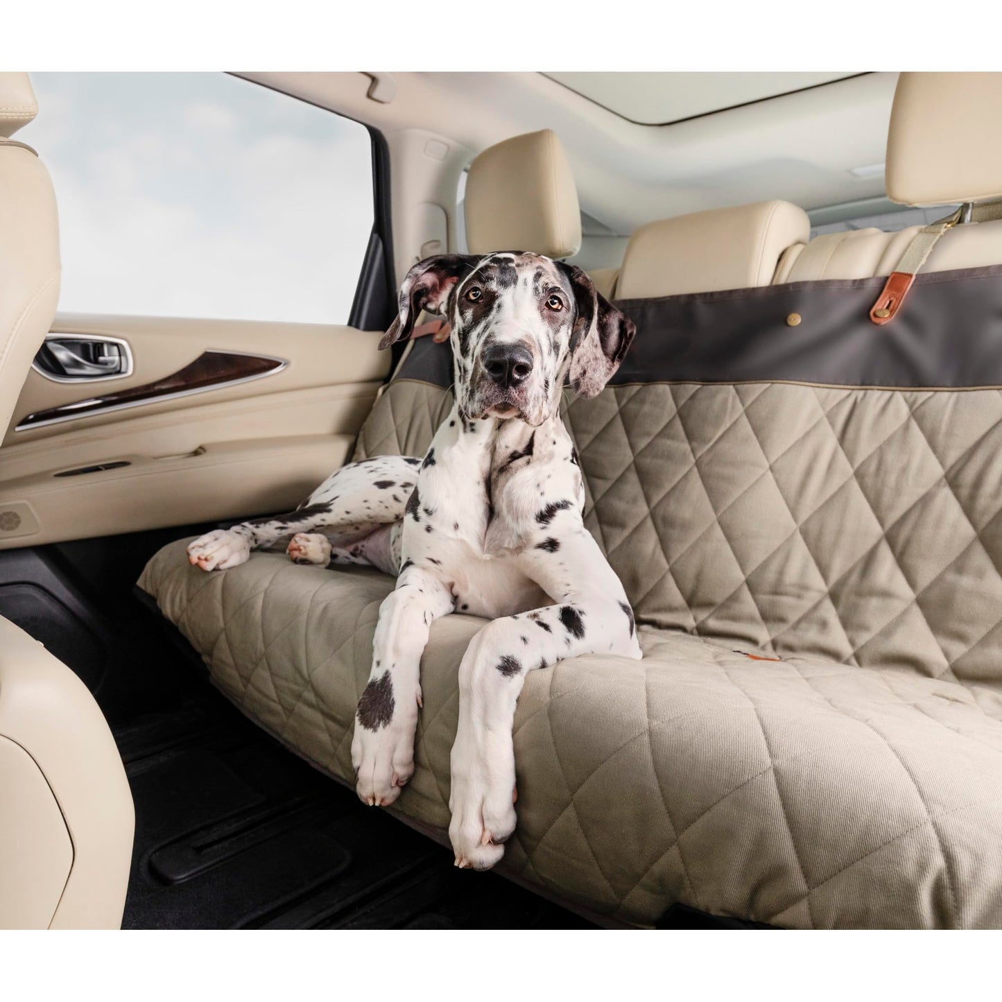 PetSafe Happy Ride Quilted Dog Car Seat Cover, Hammock, Black | Dog Hammock Seat Cover for Car, Scratch-Resistant Quilted, 4 Adjustable Headrest Straps, Nonslip Backing, Machine Washable