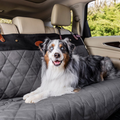 PetSafe Happy Ride Quilted Dog Car Seat Cover, Hammock, Black | Dog Hammock Seat Cover for Car, Scratch-Resistant Quilted, 4 Adjustable Headrest Straps, Nonslip Backing, Machine Washable